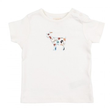 t-shirt goats single 6-12 mesi
