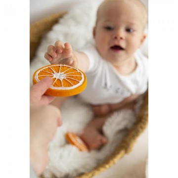 clementino l'arancia 