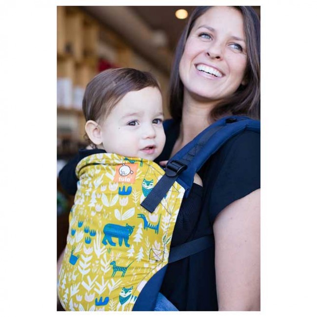 fable - toddler  ergonomic baby carrier 