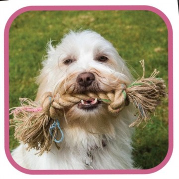 gioco corda naturale jungle 2 nodi (25 cm.) m