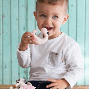 sky il fenicottero massaggia gengive 