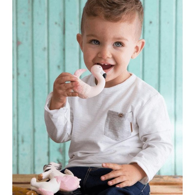 sky il fenicottero massaggia gengive 