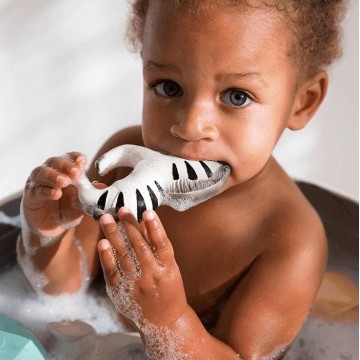 zoe la zebra massaggia gengive 