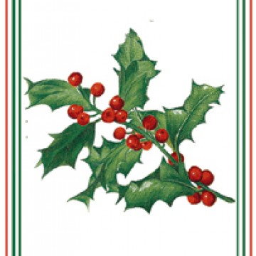 scatola 2 pz sapone per ospiti - noel  le blanc 