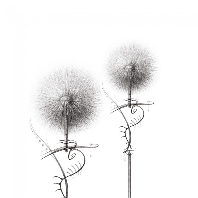 Set Sfere Progressivo Geisha Balls 2 Funtoys