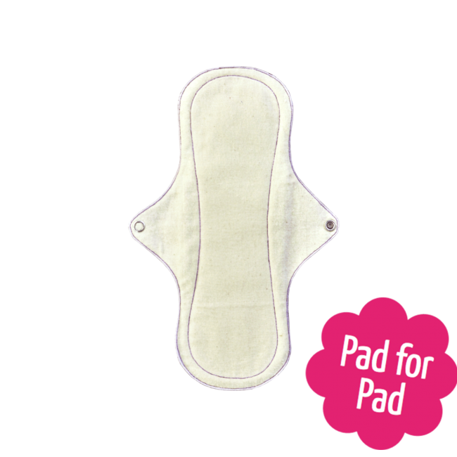 Assorbente Lavabile Giorno Plus Eco Femme